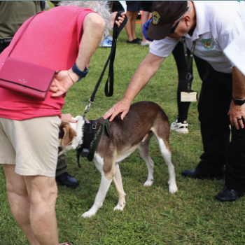 Therapy Dog Unit